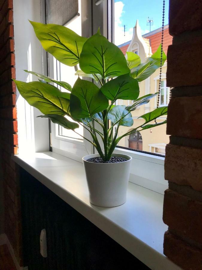 Apartament Odrzanka Gryfino Buitenkant foto